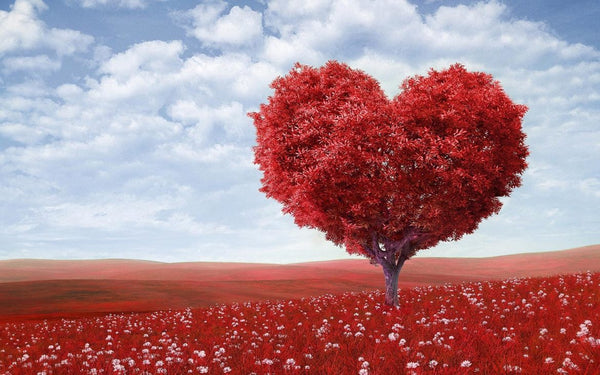 Why Heart is Symbol of Love