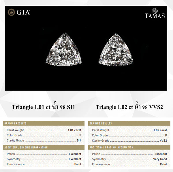 TRI101102FF