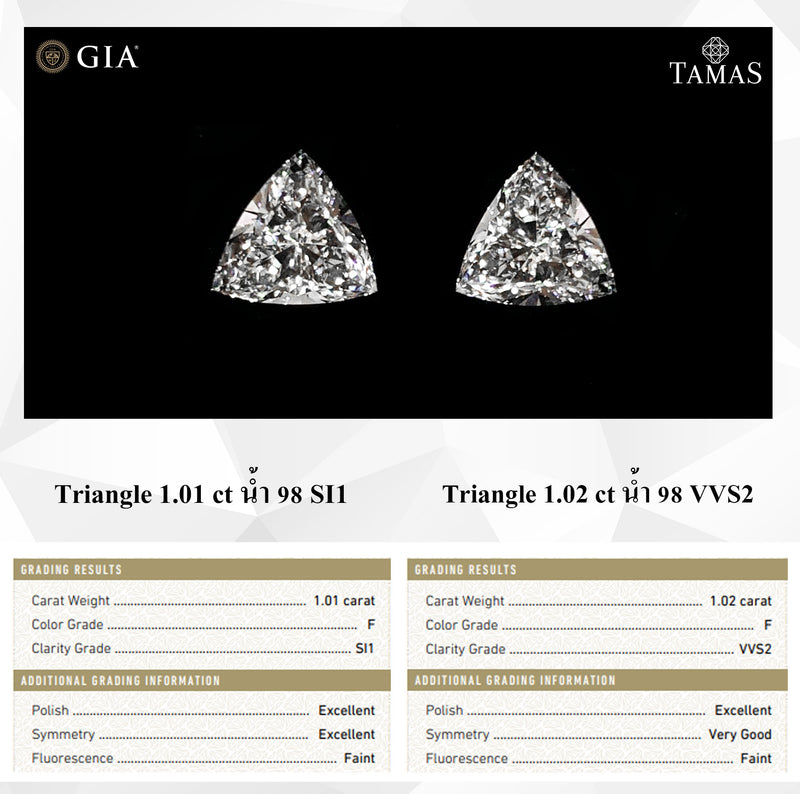 TRI101102FF