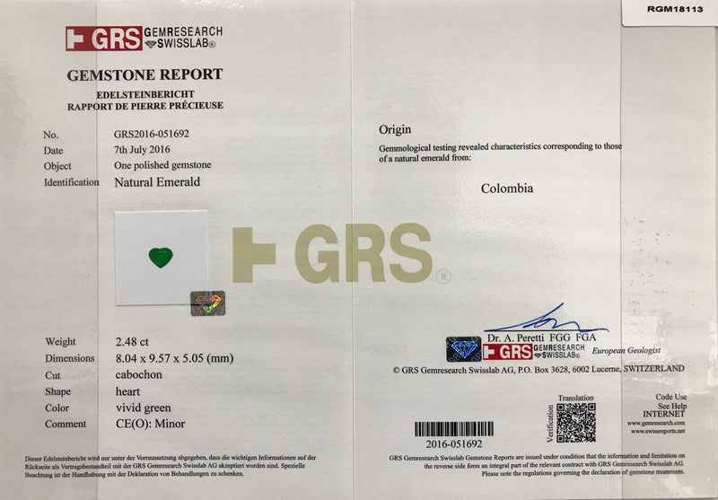 RGM18113