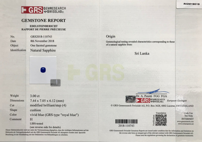 RGM19019