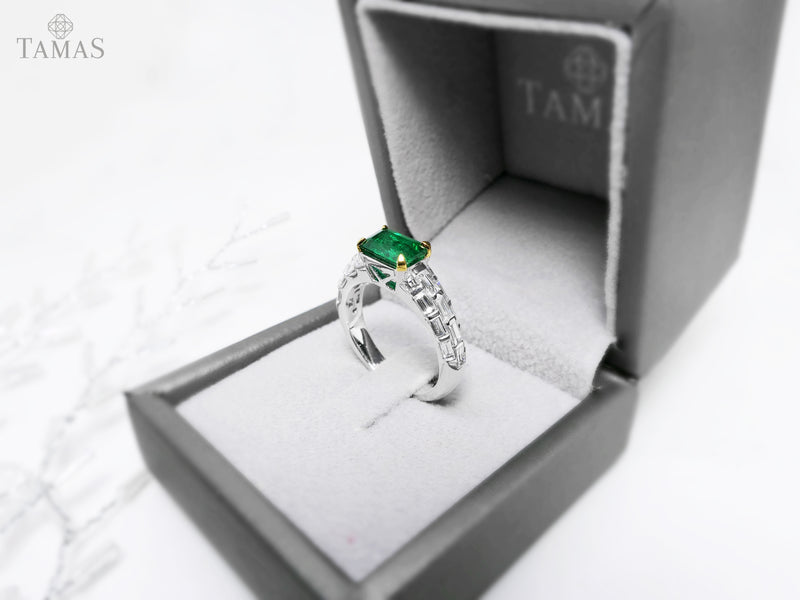 RGM19088